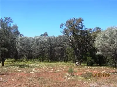 Fourth view of Homely rural property listing, * West Wilgaroon, Cobar NSW 2835