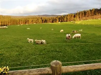 Second view of Homely rural property listing, 126 Denison Gorge Road, Lebrina TAS 7254