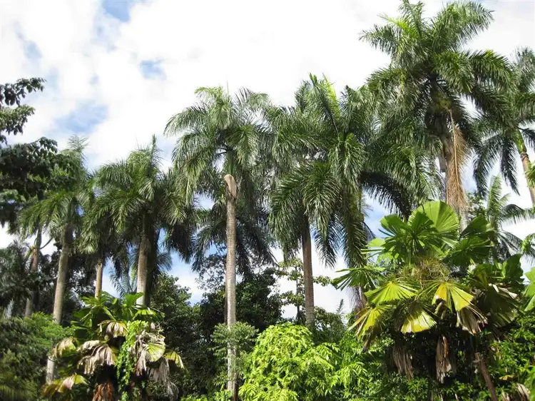 Fourth view of Homely rural property listing, Address available on request