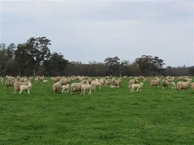 Fifth view of Homely rural property listing, 1025 Violet Town Boundary Road, Euroa VIC 3666