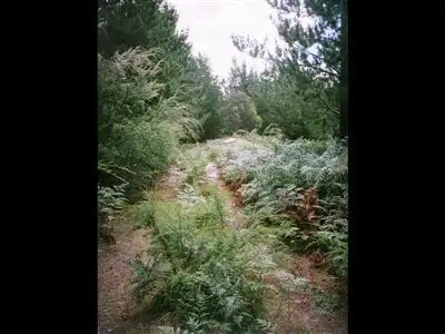 Sixth view of Homely rural property listing, 0 Harveys Road, Carrajung VIC 3971