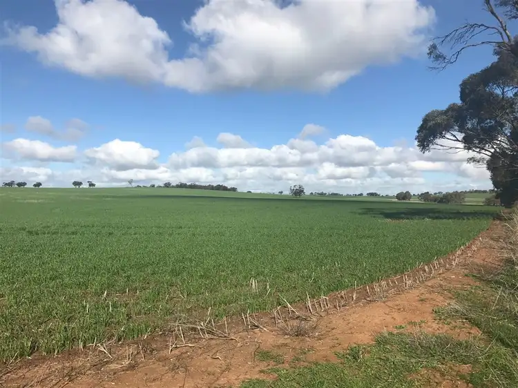 Fifth view of Homely rural property listing, Sec 63,67 Riverton Road, Riverton SA 5412