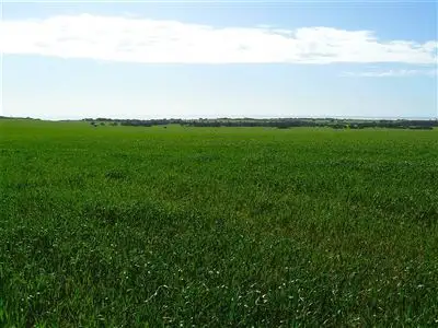 Fourth view of Homely rural property listing, Lot 5 North Coast road, Point Turton SA 5575