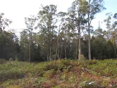 Third view of Homely land listing, Lot 3 Greens Beach Road, York Town TAS 7270