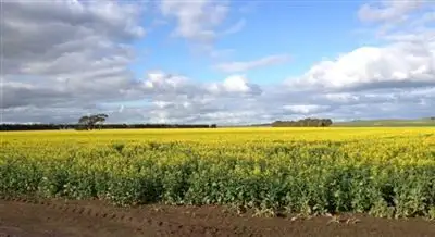 Third view of Homely rural property listing, 704 Mount William Road, Skipton VIC 3361