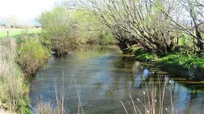 Third view of Homely rural property listing, 687 Bishopsbourne Road, Bishopsbourne TAS 7301