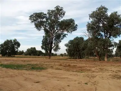 Fifth view of Homely land listing, Lot 12 Nolan Lane, Tarrawingee VIC 3678