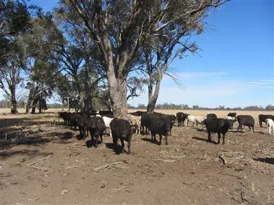 Fifth view of Homely rural property listing, 0 Teazes Road, Euroa VIC 3666