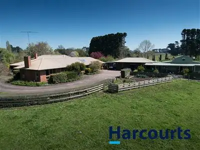 Main view of Homely house listing, 243 Lillico Road, Lillico VIC 3820