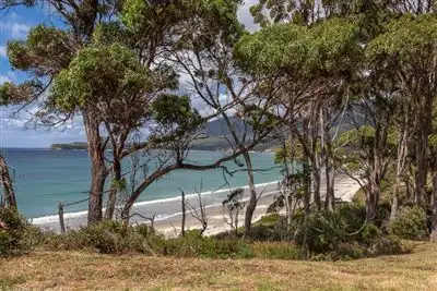 Seventh view of Homely land listing, 393 Pirates Bay Drive, Eaglehawk Neck TAS 7179