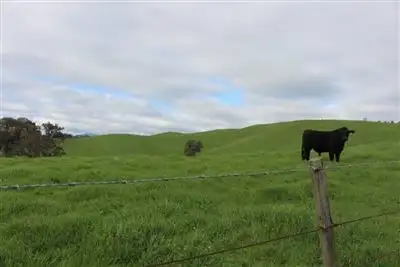 Sixth view of Homely rural property listing, 31 Creeds Road, Murrindindi VIC 3717