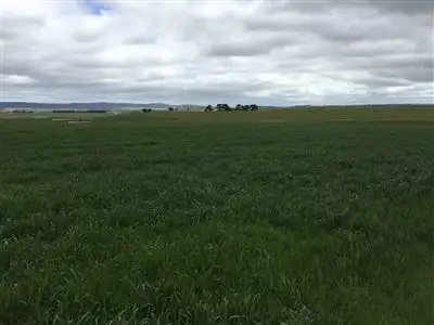 Main view of Homely rural property listing, Lot 9 Windellama Road, Goulburn NSW 2580