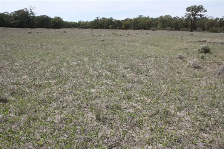 Fourth view of Homely rural property listing, 621 Flora Reserve road, Gilgandra NSW 2827