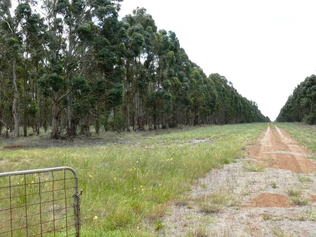 Main view of Homely rural property listing, Lot 657 South Coast Highway, Dalyup WA 6450