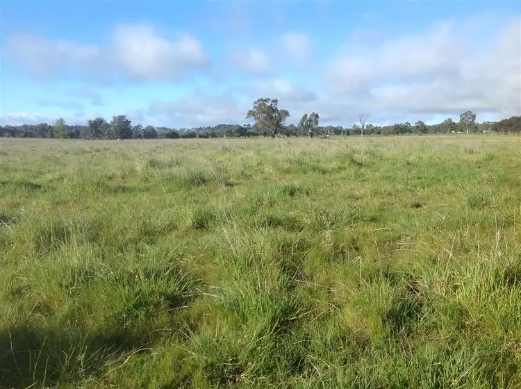 Sixth view of Homely rural property listing, 110 Perryman Lane, Table Top NSW 2640