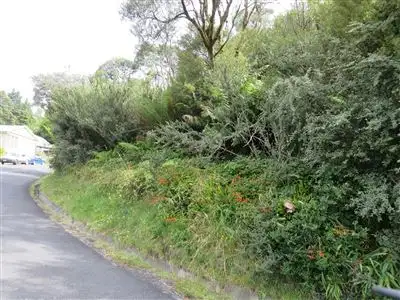 Third view of Homely land listing, 98 Dixon Street, Queenstown TAS 7467