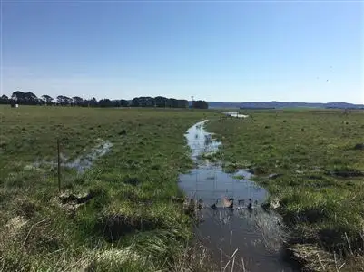 Third view of Homely rural property listing, 350 Painters Lane, Goulburn NSW 2580