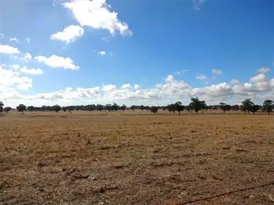 Sixth view of Homely rural property listing, 483 Nishs Road, Peechelba VIC 3678