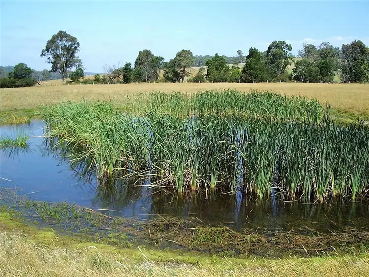 Seventh view of Homely rural property listing, 665 Nicholson Sarsfield Road, Bairnsdale VIC 3875