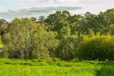 Fifth view of Homely house listing, 7 Childs Road, Mount Barker SA 5251