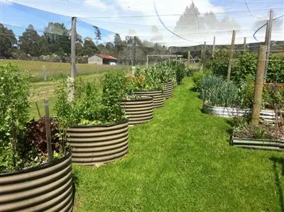 Third view of Homely house listing, 398 Germantown Road, St Marys TAS 7215