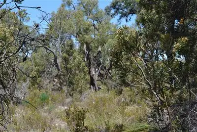 Seventh view of Homely land listing, Address available on request