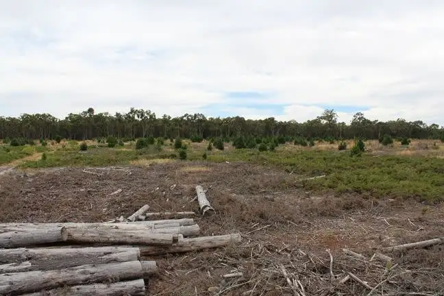 Fourth view of Homely rural property listing, 1 Dwyers Road, Merino VIC 3310