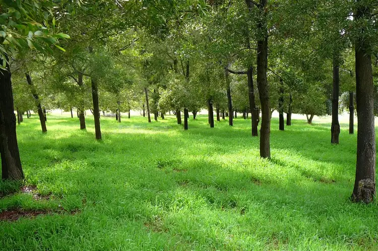 Fourth view of Homely land listing, 112 Henderson Rd, Kangaroo Gully WA 6255
