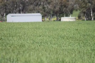 Fourth view of Homely rural property listing, Address available on request