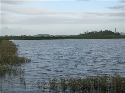Fourth view of Homely rural property listing, 45 Kellys Road (Farm 1), Marian QLD 4753