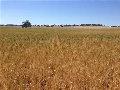 Second view of Homely rural property listing, 326 Blatches Lane, Yeoval NSW 2868