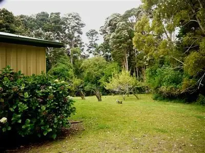 Second view of Homely house listing, 13 Forrest Street, Naracoopa TAS 7256