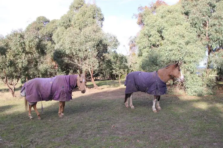 Second view of Homely rural property listing, Lot 13 Berringa Road, Berringa VIC 3351