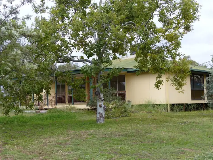 Second view of Homely house listing, 38 Main St, Augathella QLD 4477