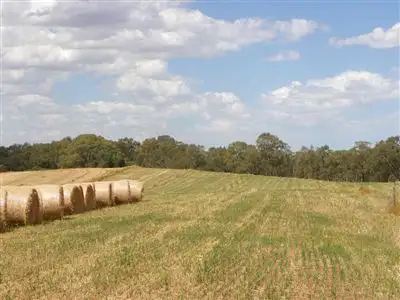 Fourth view of Homely rural property listing, 30 catanese road, Gunbower VIC 3566