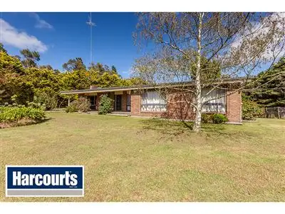 Second view of Homely rural property listing, 51 Beards Track, Shady Creek VIC 3821