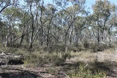 Second view of Homely rural property listing, L117, 120 Mayfield Road, Braidwood NSW 2622