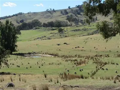 Fourth view of Homely rural property listing, 1195 Horseshoe Bend Lane, Kelvin View VIC 3666