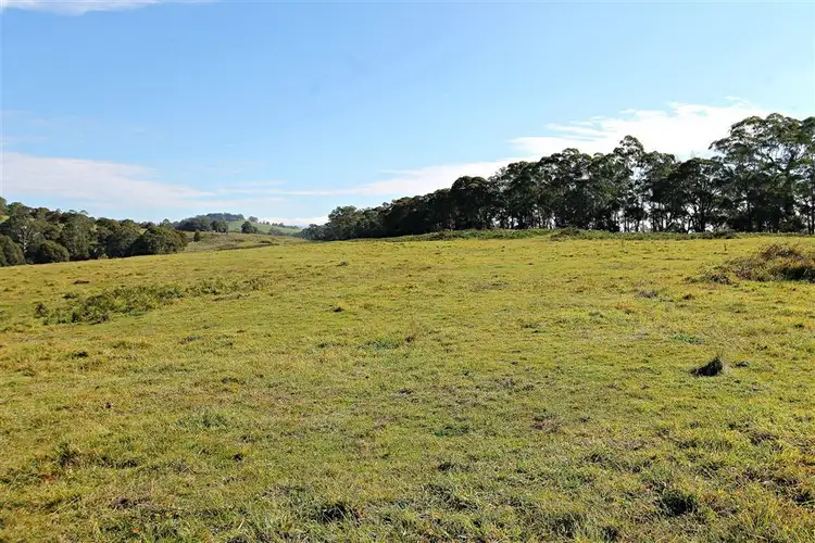 Fifth view of Homely rural property listing, Cnr Araluen Road and Monga Lane Reidsdale, Braidwood NSW 2622