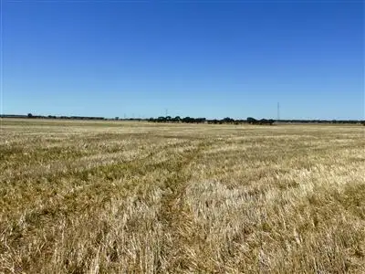 Fourth view of Homely rural property listing, 1615 Lake View Road, Brinkworth SA 5464