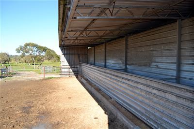 Fifth view of Homely rural property listing, 1770 Beermullah Road West, Beermullah, Gingin WA 6503