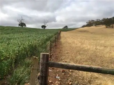 Seventh view of Homely rural property listing, Sec 597 Horrocks Hwy, Rhynie SA 5412