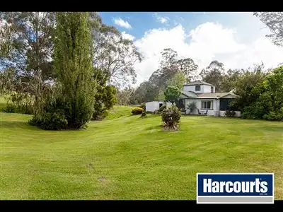 Third view of Homely rural property listing, 155 Beards Track, Shady Creek VIC 3821