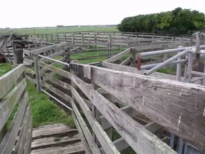 Sixth view of Homely rural property listing, 160 Verlings Lane, Yarram VIC 3971