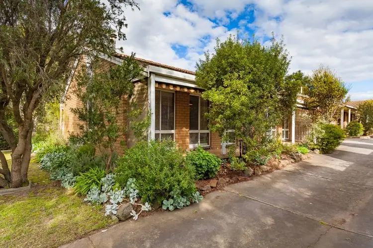 1/20 Alameda Avenue, Mornington VIC 3931