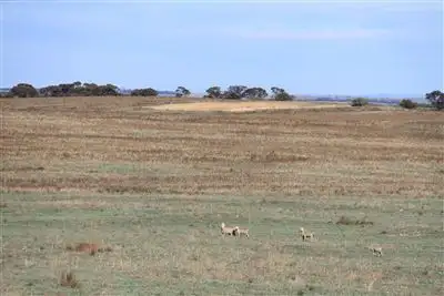 Sixth view of Homely rural property listing, Lt 146 Baumgurtel Road, Wynarka SA 5306