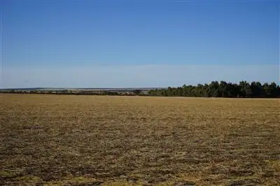 Third view of Homely rural property listing, Lot 27739 Burracoppin South Road, Muntadgin WA 6420