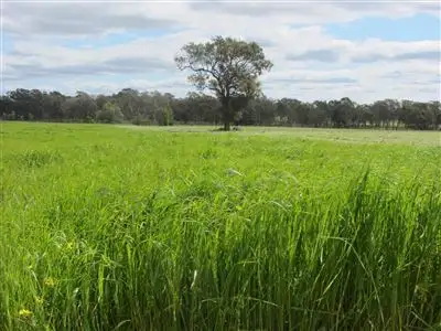 Second view of Homely rural property listing, 0 Creightons Creek Road, Euroa VIC 3666