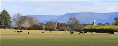 Fifth view of Homely rural property listing, 89 Oaks Road, Carrick TAS 7291