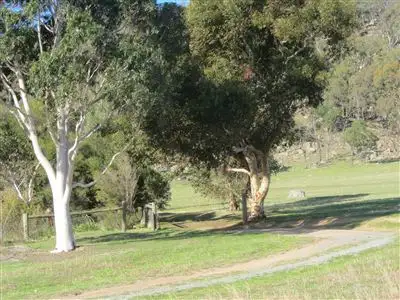 Third view of Homely rural property listing, 271 Forlonge Memorial Road, Euroa VIC 3666